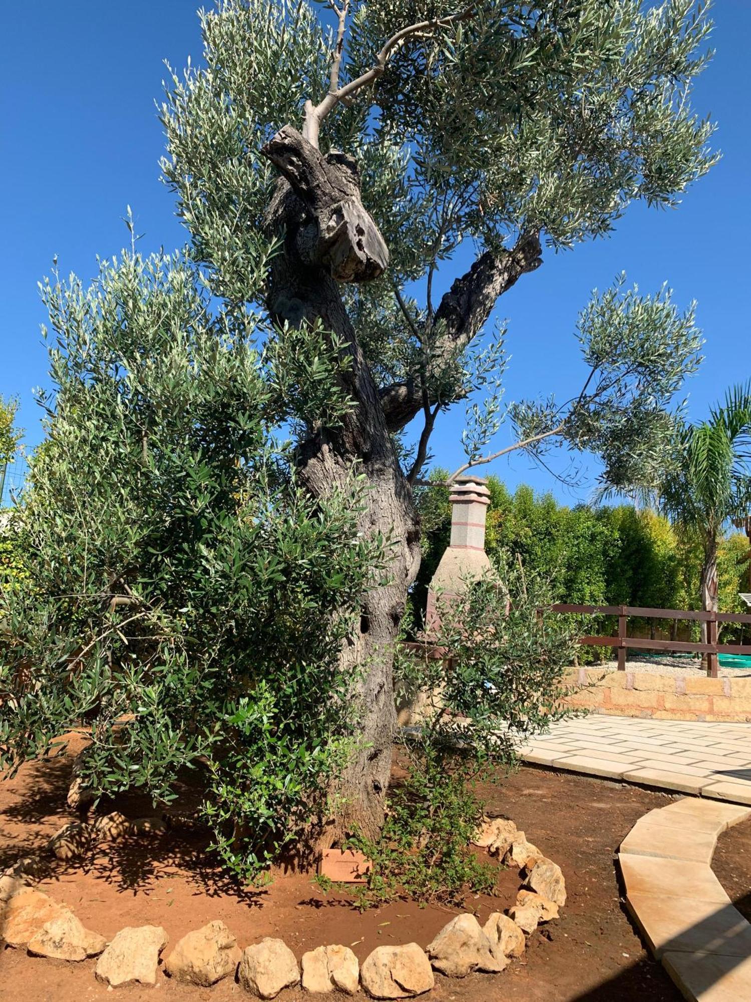 Villetta Mari Con Piscina Esclusiva Nel Salento Capilungo Luaran gambar